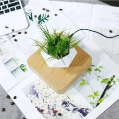 Maison et jardin Pot de fleur en lévitation | Boutique yoga | Yogshi